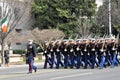 Saint Patrick`s Day Parade.