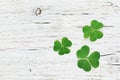 Saint Patricks Day background with green shamrock on wooden texture top view.