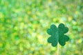 Saint Patricks Day shiny green clover