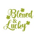 Saint Patrick`s Day Special Design