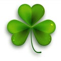 Saint Patricks Day symbol, vector realistic shamrock leaf