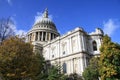 Saint Paul's cathedral Royalty Free Stock Photo