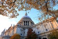 Saint Paul`s Cathedral, one of the most famous and most recognisable sights of England, with autumn tree, London, United Kingdom Royalty Free Stock Photo