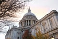 Saint Paul`s Cathedral, one of the most famous and most recognisable sights of England, with bare tree branch, London, United Royalty Free Stock Photo