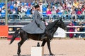 Saint-Petersburg - June 10, 2023, XXIV International Equestrian Exhibition Hipposphere: forum