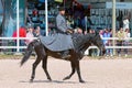 Saint-Petersburg - June 10, 2023, XXIV International Equestrian Exhibition Hipposphere: forum