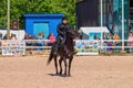 Saint-Petersburg - June 10, 2023, XXIV International Equestrian Exhibition Hipposphere: forum