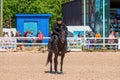 Saint-Petersburg - June 10, 2023, XXIV International Equestrian Exhibition Hipposphere: forum