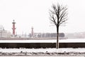 Saint Petersburg landmark Spit of Vasilievsky Island