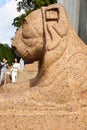 Lions in Peterhof near the Voronikhinskaya Colonnade in Petrodvorets, St. Petersburg