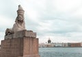 Saint-Petersburg, Russia, 22 August 2020: Sphinx at the Universitetskaya Embankment.