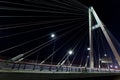 Saint-Petersburg. Russia. Cable-braced bridge at night Royalty Free Stock Photo