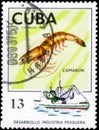 Saint Petersburg, Russia - December 05, 2020: Postage stamp issued in the Cuba with the image of the Angler and Shrimp, Pandalus.