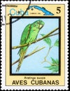 Saint Petersburg, Russia - December 05, 2020: Postage stamp issued in the Cuba with the image of the Cuban Parakeet, Aratinga