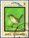 Saint Petersburg, Russia - December 05, 2020: Postage stamp issued in the Cuba with the image of the Zapata Wren, Ferminia