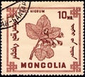 Saint Petersburg, Russia - February 06, 2020: Postage stamp issued in Mongolia with the image of the Black currant, Ribes Nigrum,