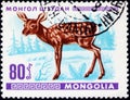 Saint Petersburg, Russia - February 06, 2020: Postage stamp issued in Mongolia with the image of Red Deer Calf, Cervus elaphus,