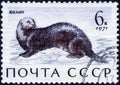 Saint Petersburg, Russia - February 06, 2020: Postage stamp issued in the Soviet Union with the image of the Sea Otter, Enhydra