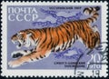 Saint Petersburg, Russia - February 20, 2020: Postage stamp issued in the Soviet Union with the image of the Siberian Tiger, Royalty Free Stock Photo