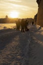 Silhouettes of cadets clearing snow and illuminated by the beautiful evening sun