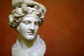 Bust of Dionysus in State Hermitage