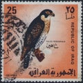 Saint Petersburg, Russia - January 13, 2020: Postage stamp issued in Iraq with the image of the Peregrine Falcon. Falco peregrinus