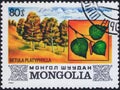 Saint Petersburg, Russia - January 03, 2020: Postage stamp issued in Mongolia with the image of flat leaf Birch, Betula