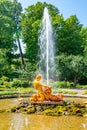 Saint Petersburg, Russia - July 2018: Orangery Greenhouse fountain Triton in Peterhof