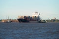 Container ship `Elbsailor` IMO: 9448695 on a Kronstadt raid