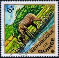 Saint Petersburg, Russia - March 06, 2020: Postage stamp issued in the Guinea with the image of the Greater kudu, Tragelaphus
