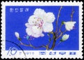 Saint Petersburg, Russia - March 06, 2020: Postage stamp issued in the Democratic People`s Republic Of Korea with the image of th