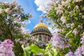 Saint Isaac`s Cathedral in the flowers of lilac and Apple trees Royalty Free Stock Photo