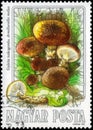 Saint Petersburg, Russia - May 17, 2020: Postage stamp issued in the Hungary with the image of the Honey Fungus, Armillariella Royalty Free Stock Photo