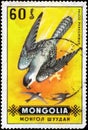 Saint Petersburg, Russia - May 17, 2020: Postage stamp issued in the Mongolia with the image of the Peregrine Falcon, Falco