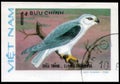 Saint Petersburg, Russia - May 31, 2020: Postage stamp issued in the Vietnam with the image of the Black-winged Kite, Elanus