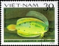 Saint Petersburg, Russia - May 31, 2020: Postage stamp issued in the Vietnam with the image of the Cockatoo Righteye Flounder,