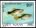 Saint Petersburg, Russia - May 31, 2020: Postage stamp issued in the Vietnam with the image of the Pencilfish, Poecilobrycon eques