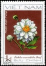 Saint Petersburg, Russia - May 31, 2020: Postage stamp issued in the Vietnam with the image of the White dahlia, Dahlia variabilis