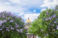 Saint Isaac`s Cathedral in the flowers of lilac and Apple trees Royalty Free Stock Photo