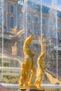 SAINT PETERSBURG, RUSSIA - MAY 29, 2015: Sculptures and fountains of Grand Cascade in Peterhof Royalty Free Stock Photo