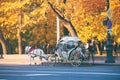 Saint-Petersburg-Russia -October-17-2018 :Tourist People in carriage near park at Saint Isaac`s Cathedral in Saint Petersburg Royalty Free Stock Photo