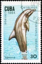 Saint Petersburg, Russia - September 18, 2020: Postage stamp issued in the Cuba the image of the Common Bottlenose Dolphin,