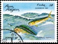 Saint Petersburg, Russia - September 18, 2020: Postage stamp issued in the Cuba the image of the Common Dolphinfish, Coryphaena