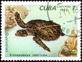 Saint Petersburg, Russia - September 18, 2020: Postage stamp issued in the Cuba the image of the Hawksbill Turtle, Eretmochelys