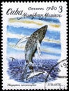 Saint Petersburg, Russia - September 18, 2020: Postage stamp issued in the Cuba the image of the Humpback Whale, Megaptera