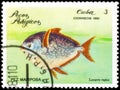 Saint Petersburg, Russia - September 18, 2020: Postage stamp issued in the Cuba the image of the Opah, Lampris regius. From the Royalty Free Stock Photo
