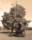 Felix Leclerc statue, Giant Metal Sculpture