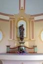 Saint Roch, a statue in the chapel of Saint Roch in the Church of the Visitation of the Virgin Mary in Vinagora, Croatia