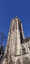 Saint-Rombout Cathedral , Mechelen, Belgie Royalty Free Stock Photo