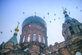 Saint sophia cathedral and pigeons Royalty Free Stock Photo